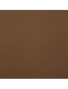 Cartulina 180 gr. 12" Kraft
