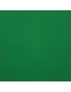 Cartulina 180 gr. 12" Grass Green